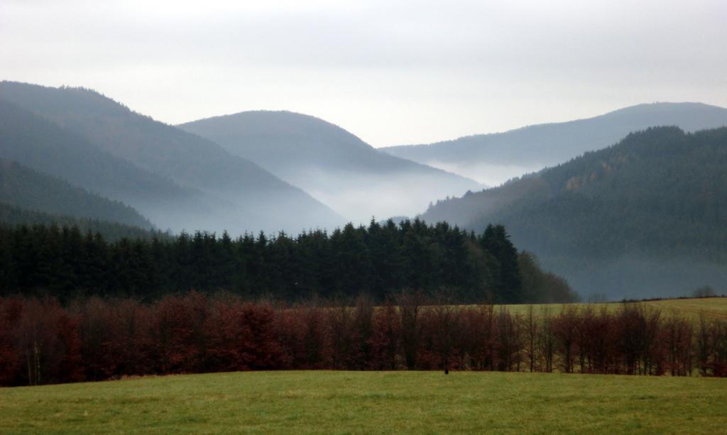 Landhaus Zur Linde Lejlighed Winterberg Værelse billede